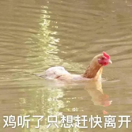 1月26日热门表情包合集来啦