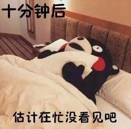 暗恋对象不回消息？这套熊本熊表情包太懂你了