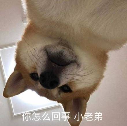 “你怎么回事，老弟？”这套表情包火了