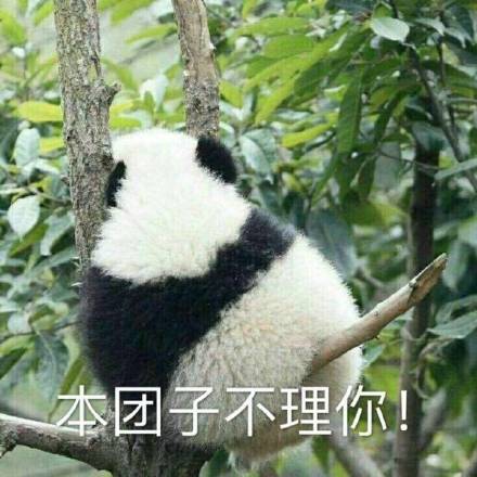 软萌熊猫团子表情包合集