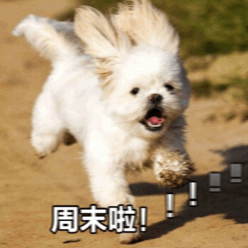 终于等到周末啦！