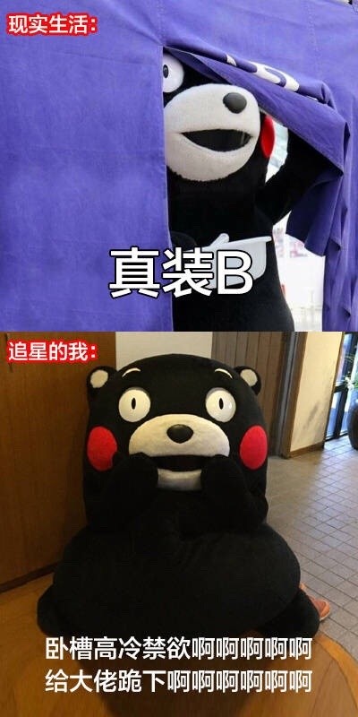 追星前后的我反差有多大？这套熊本熊表情包太真实了