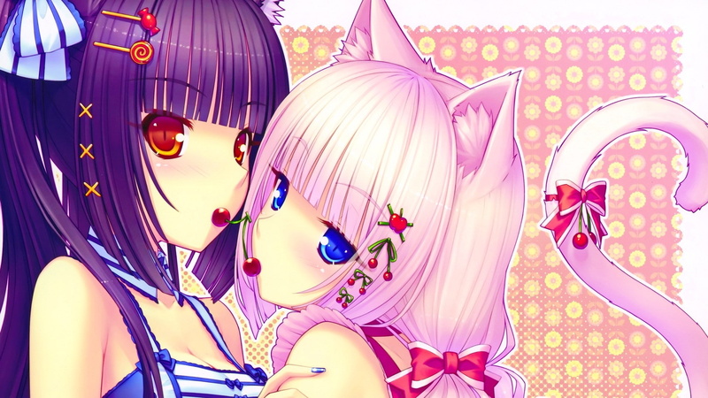 猫娘乐园绝美壁纸！1080P高清二次元少女壁纸合集