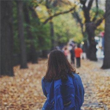 15张落叶单人伤感背影头像 高清女生头像合集