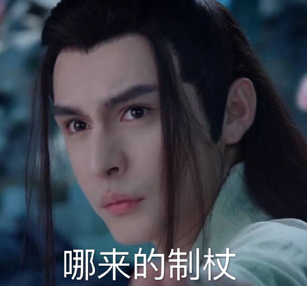 扑哧君专属表情包合集来啦