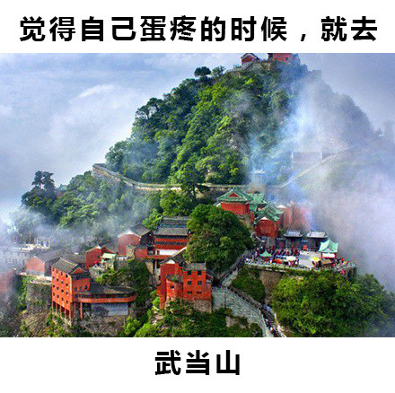 就给大家指条明路的内涵表情包合集来了