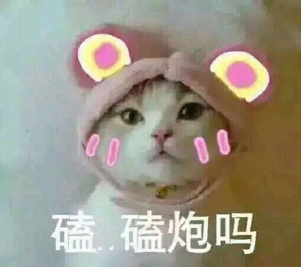 汪星人喵星人可爱表情包合集