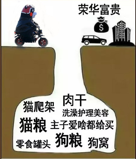 想靠暴富快速翻身？这些陷阱千万别踩！熊本熊表情包带你看清套路