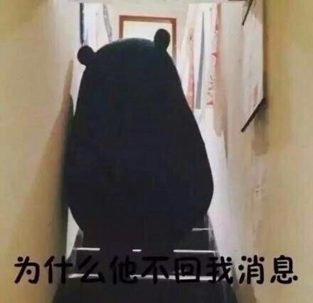暗恋对象不回消息？这套熊本熊表情包太懂你了