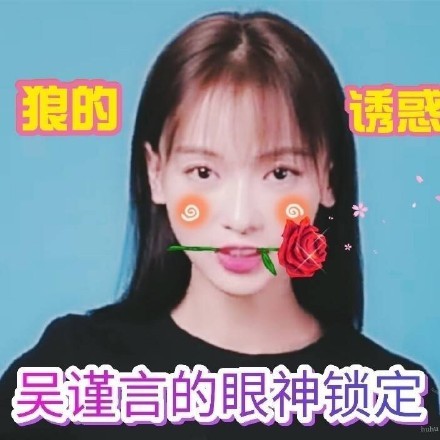 吴谨言专属表情包合集来啦