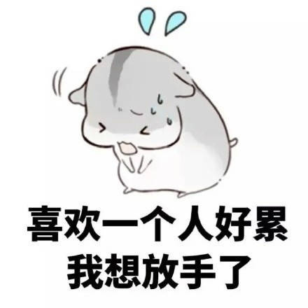 从心动到放手：喜欢一个人的全套表情包