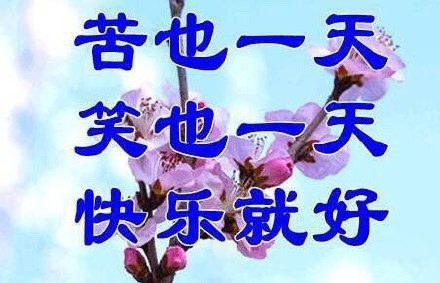 这套佛系九连表情包，把躺平心态直接焊在脸上