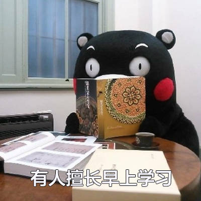 刷到就赚了！这套“可以说是非常擅长了”熊本熊表情包太戳人