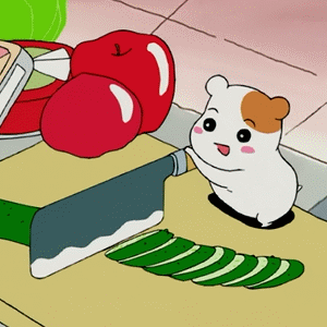 《仓鼠管家》惠比知由 GIF动图合集