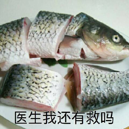 咸鱼系列表情包来啦 斗图又有新素材了