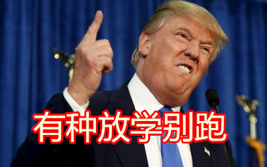 特朗普川普专属表情包合集