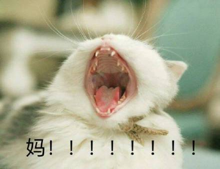 父女对话表情包火了！一句“我妈呢”戳中多少人的日常