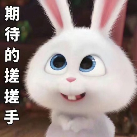 《爱宠大机密》小白兔表情包来啦，聊天斗图用得上