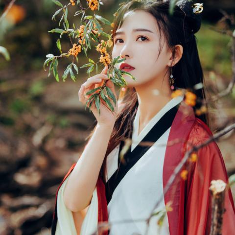 冷艳霸气古风武侠女生头像 19张高清侠气素材合集