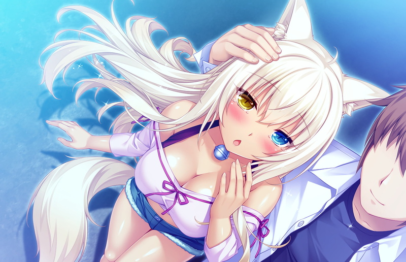这款猫娘乐园壁纸太绝了！金发异瞳少女居然还有娇羞少年同框
