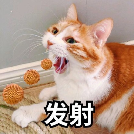 中秋过节没头绪？不如来发月饼表情包