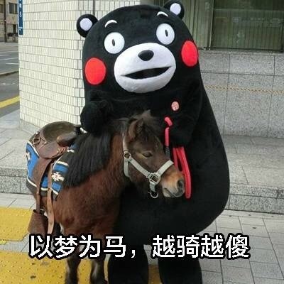 熊本熊版现代诗集表情包火了