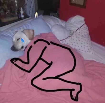 近期热门沙雕表情包合集