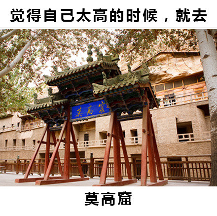 就给大家指条明路的内涵表情包合集来了