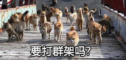 喵星大佬驾到！这套装逼表情包太有内味儿了