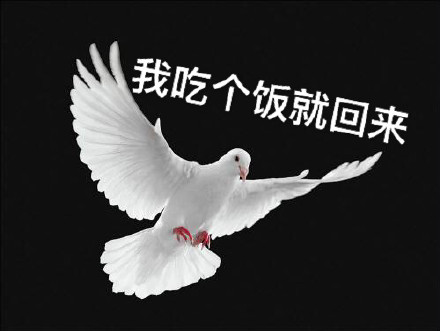 打工人常遇的被放鸽子表情包合集