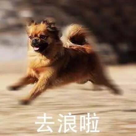 打工人必备！溜了溜了系列表情包合集