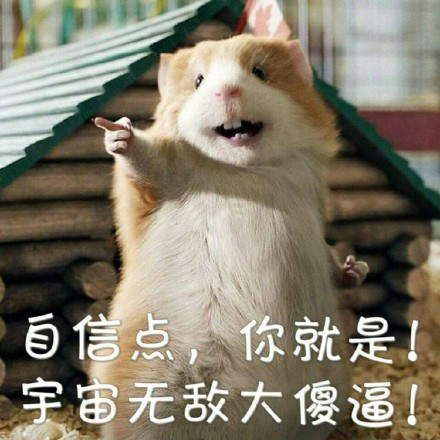 现在正在聊天常用的热门表情都有啥