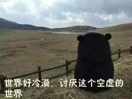 暗恋对象不回消息？这套熊本熊表情包太懂你了