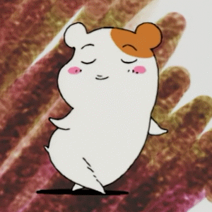 《仓鼠管家》惠比知由 GIF动图合集