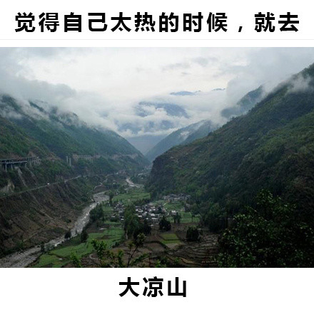 就给大家指条明路的内涵表情包合集来了