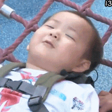 宋民国专属动图表情包合集