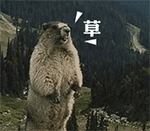# 土拨鼠山鼠怒吼表情包合集 斗图用的萌系表情包