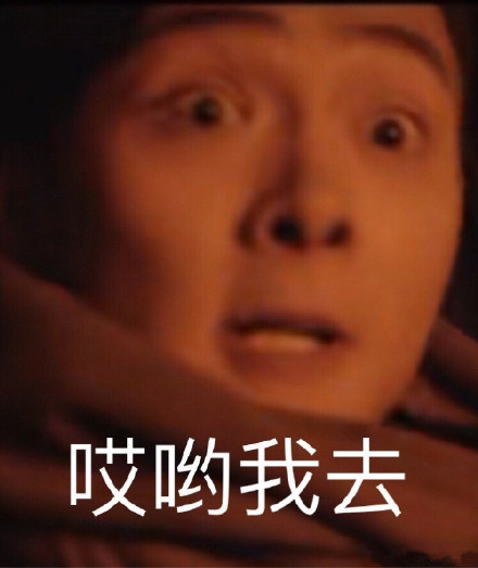 张日山专属表情包合集来了