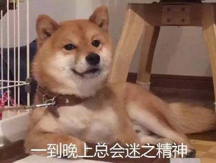 白天困成狗晚上却精神到失眠？这套表情包戳中你了吗