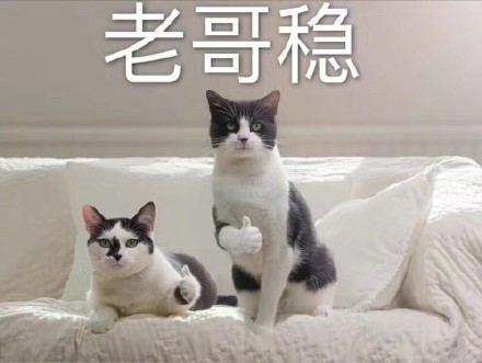 今天聊天斗图用啥？热门表情包原图合集来啦