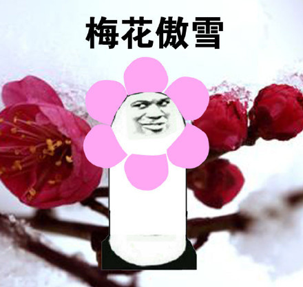 这波骄傲表情包太好用了！