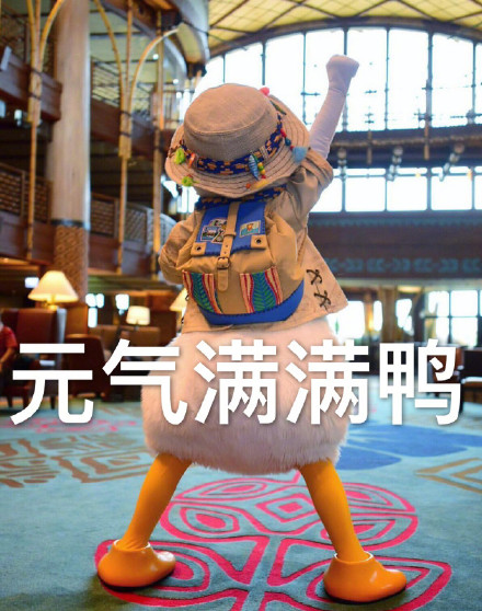 唐老鸭表情包第三弹来啦！