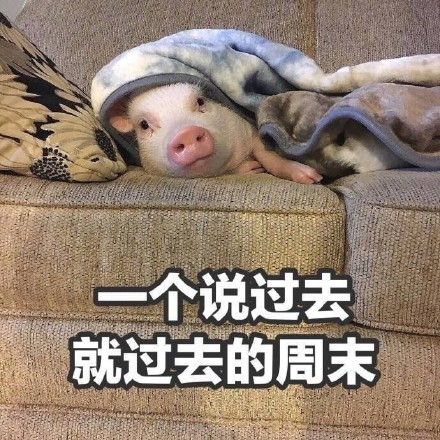 春节宅家的真实写照！这组表情包太戳人了