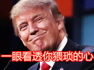 特朗普川普专属表情包合集