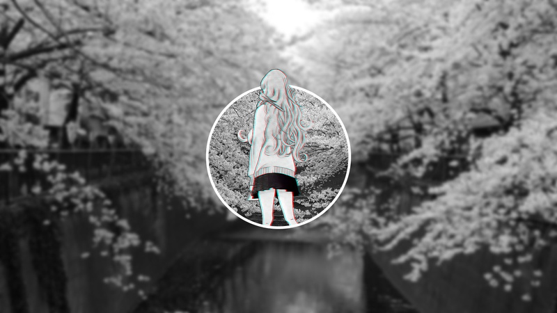 模糊质感自然黑白画面 二次元 glitch艺术少女高清壁纸