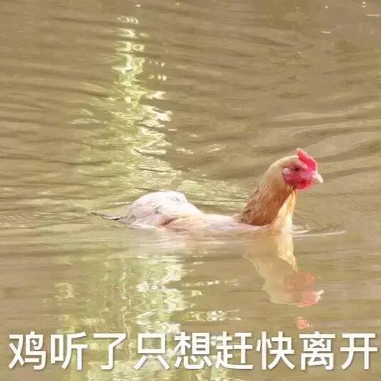 1月26日热门表情包合集来啦