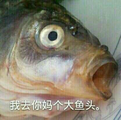 咸鱼系列表情包来啦 斗图又有新素材了
