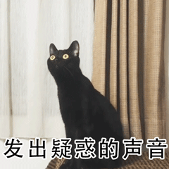 养猫斗图党看过来！这套小猫惊恐表情包太好用了