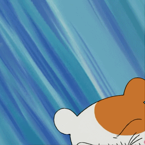 《仓鼠管家》惠比知由 GIF动图合集