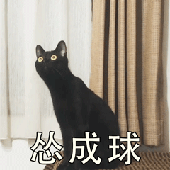 养猫斗图党看过来！这套小猫惊恐表情包太好用了